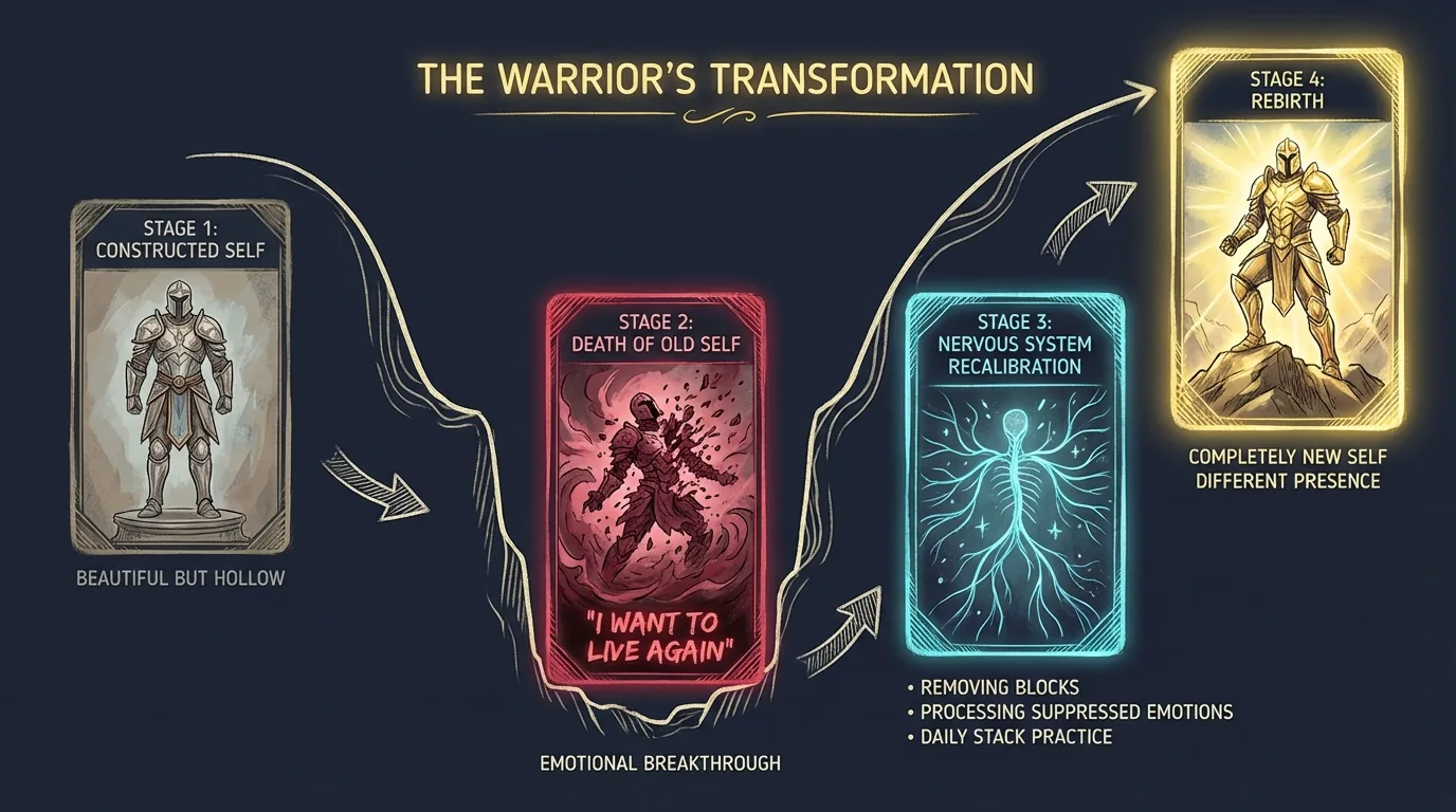 Warrior Transformation Arc